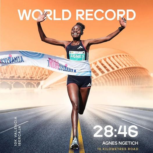 1000113931 1000113931