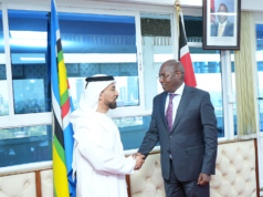 Strengthening Kenya-UAE Healthcare Collaboration for a Healthier Future 8ca62650 16d5 44af 8b50 0f20b957c130