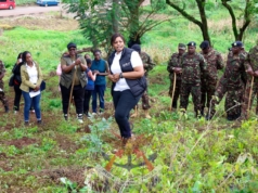 Kenya Army Leads Tree Planting Drive at University of Nairobi in Major Environmental Push IMG 2161