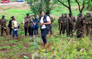 Kenya Army Leads Tree Planting Drive at University of Nairobi in Major Environmental Push IMG 2161