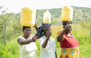 M-PESA Foundation Revives Hope for Roan Antelope and Community ce7c2211 1096 4e39 a54d e70bebdd005e