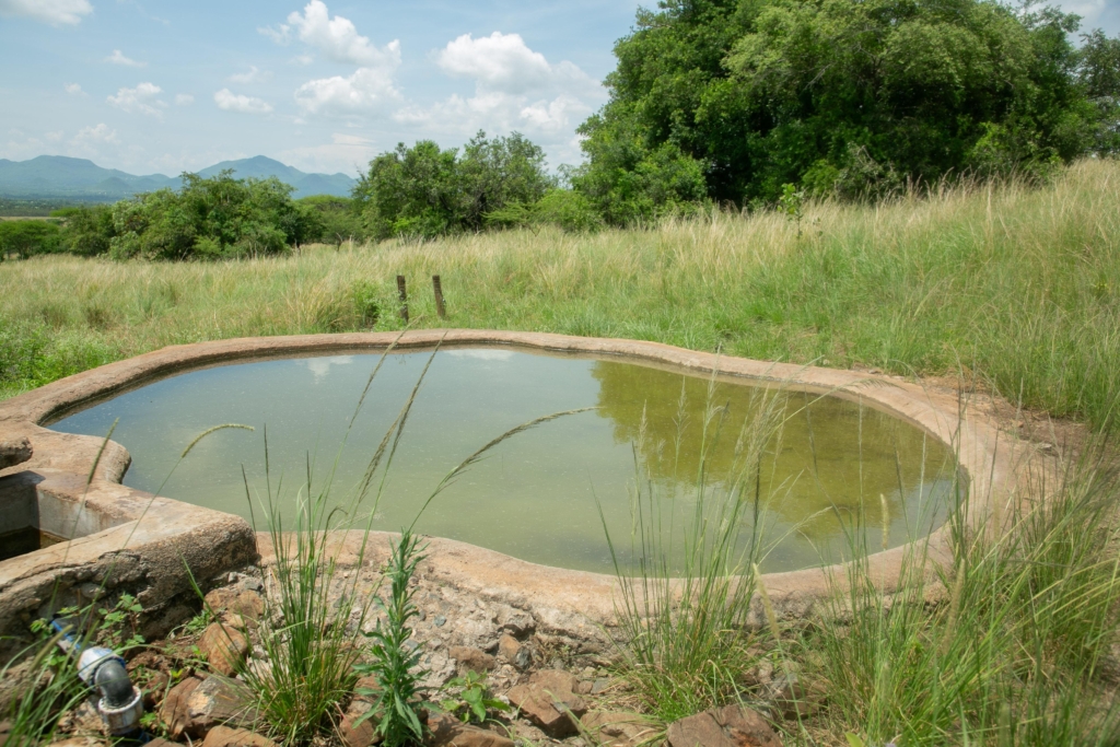 d8b28344 488f 49c9 92af aecc44be94fa