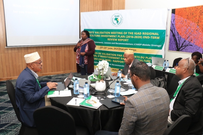 IGAD Regional Agriculture Plan Review: New Chapter in Fight Against Food Insecurity in the Horn of Africa 069535d6 2c99 485a 895d aeeef1f56bed