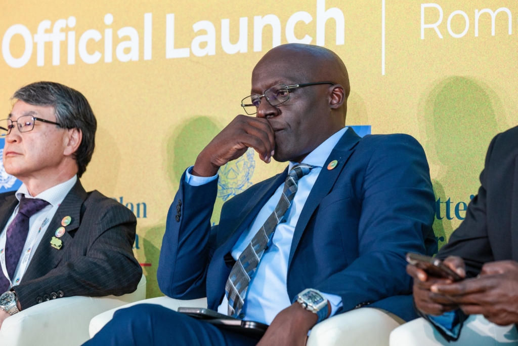 AI Hub for sustainable development launch