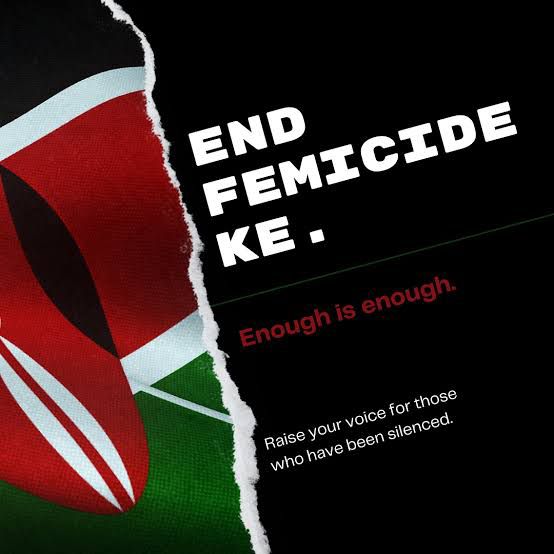 WhatsApp Image 2025-06-26 at 14.31.36_35b3722c WhatsApp Image 2025 06 26 at 14.31.36 35b3722c