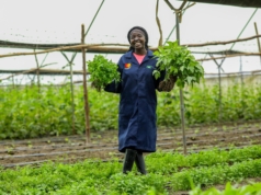 Pauline Otieno: 28-year-old Young Farmer Driving Sustainable Agriculture and Youth Employment Pauline Otieno