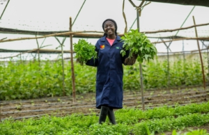 Pauline Otieno: 28-year-old Young Farmer Driving Sustainable Agriculture and Youth Employment Pauline Otieno