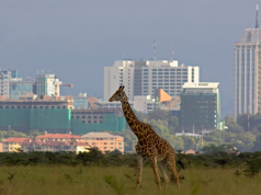 Nairobi Could Unlock KSh 60 Billion in Hidden Revenue Through Stronger Land Rate Compliance Nairobi Could Unlock KSh 60 Billion in Hidden Revenue Through Stronger Land Rate Compliance