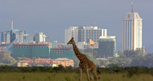 Nairobi Could Unlock KSh 60 Billion in Hidden Revenue Through Stronger Land Rate Compliance Nairobi Could Unlock KSh 60 Billion in Hidden Revenue Through Stronger Land Rate Compliance