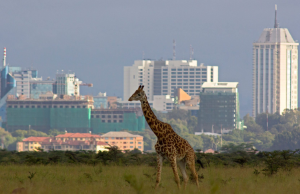 Nairobi Could Unlock KSh 60 Billion in Hidden Revenue Through Stronger Land Rate Compliance Nairobi Could Unlock KSh 60 Billion in Hidden Revenue Through Stronger Land Rate Compliance
