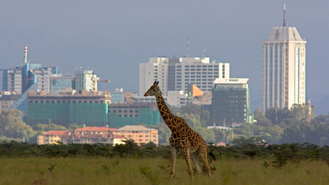 Nairobi Could Unlock KSh 60 Billion in Hidden Revenue Through Stronger Land Rate Compliance Nairobi Could Unlock KSh 60 Billion in Hidden Revenue Through Stronger Land Rate Compliance