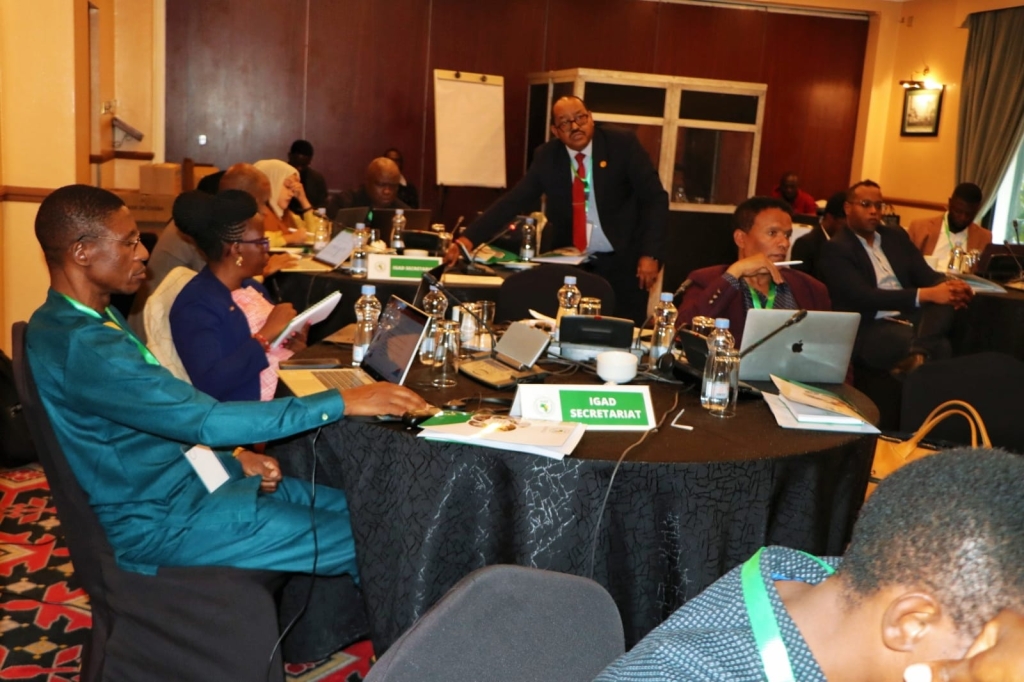 Dr Mohy Tahomi, Director of IGAD Economic Cooperation and Regional Integration IGAD Regional Agrifood Systems Investment Plan