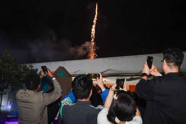 Ole-Sereni New Year's Eve firework 2 Ole Sereni New Year's Eve firework