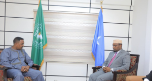 Somalia's Ratification of the IGAD Treaty Moves the Region Beyond the Two-Thirds Threshold