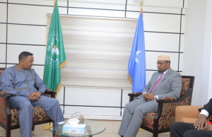 Somalia’s Ratification of the IGAD Treaty Moves the Region Beyond the Two-Thirds Threshold Somalia's Ratification of the IGAD Treaty Moves the Region Beyond the Two-Thirds Threshold