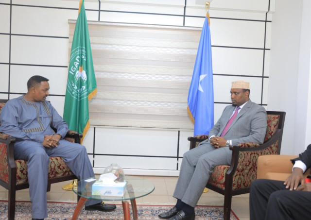 Somalia's Ratification of the IGAD Treaty Moves the Region Beyond the Two-Thirds Threshold