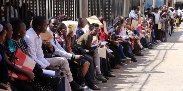 KRA Announces Attachment Opportunities for Students Across Kenya