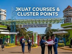 Degree Courses Offered at JKUAT and their Cluster Points 2026 Degree Courses Offered at JKUAT and their Cluster Points 2026