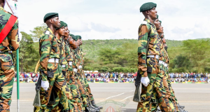 NYS Announces Over 700 Job Vacancies NYS Announces Over 700 Job Vacancies