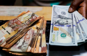 Kenyan Shilling Strengthens 4.1% Against US Dollar as Foreign Exchange Conditions Improve – KNBS Kenyan Shilling Strengthens 4.1% Against US Dollar