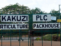 Murang’a Families Win Back 3,200 Acres in Landmark Kakuzi Land Case Kakuzi plc