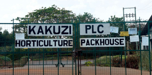 Kakuzi plc