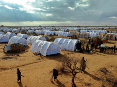 Refugees in Kenya Left Stranded After Canadian Firm Withdraws Job Offers Refugees in Kenya