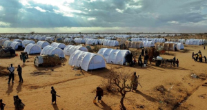 Refugees in Kenya Left Stranded After Canadian Firm Withdraws Job Offers Refugees in Kenya