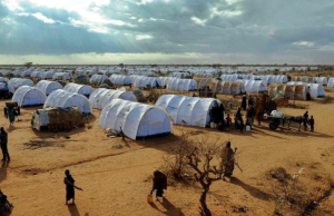 Refugees in Kenya Left Stranded After Canadian Firm Withdraws Job Offers Refugees in Kenya