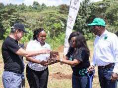 NCBA Advances 10 Million Tree Goal Through Agroforestry Partnership WhatsApp Image 2026 06 11 at 1.08.29 PM (1)