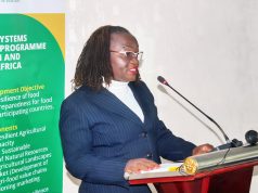 IGAD Launches Soil Health and Fertilizer Hub to Strengthen Food Security Across the Region IGAD Launches Soil Health and Fertilizer Hub to Strengthen Food Security Across the Region